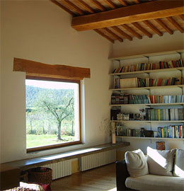 Living room and library