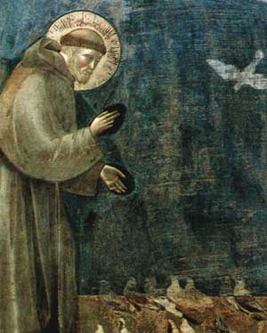 San Francesco