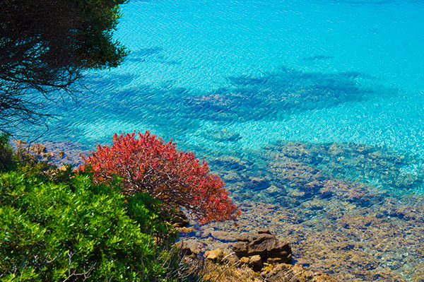 Asinara